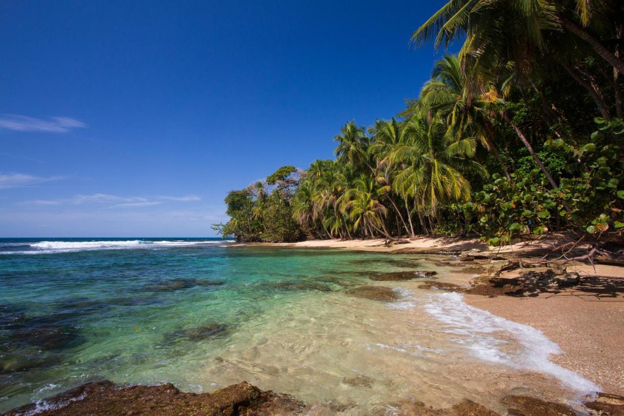 Manzanillo Caribbean Station touristique Puerto Viejo de Talamanca